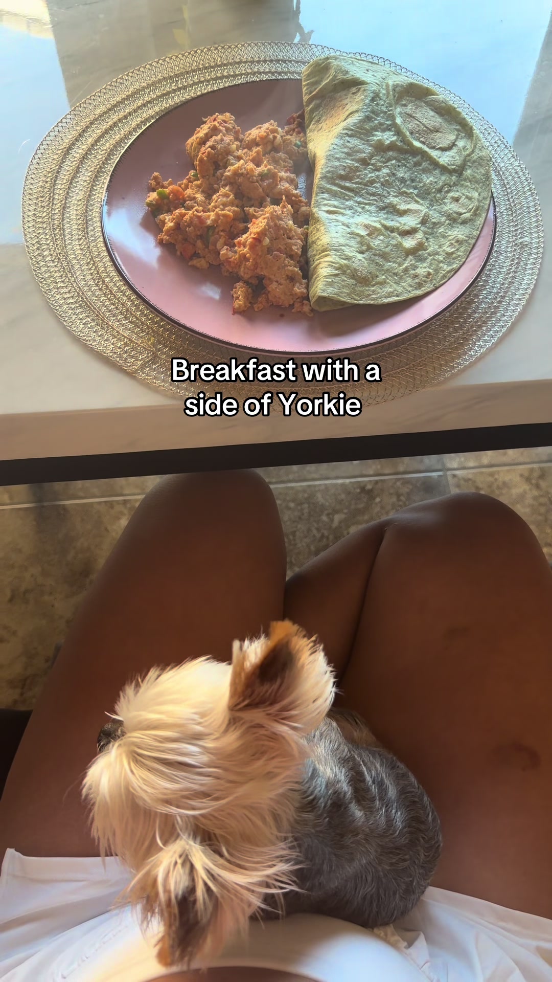 @Milo & Mia 🐾