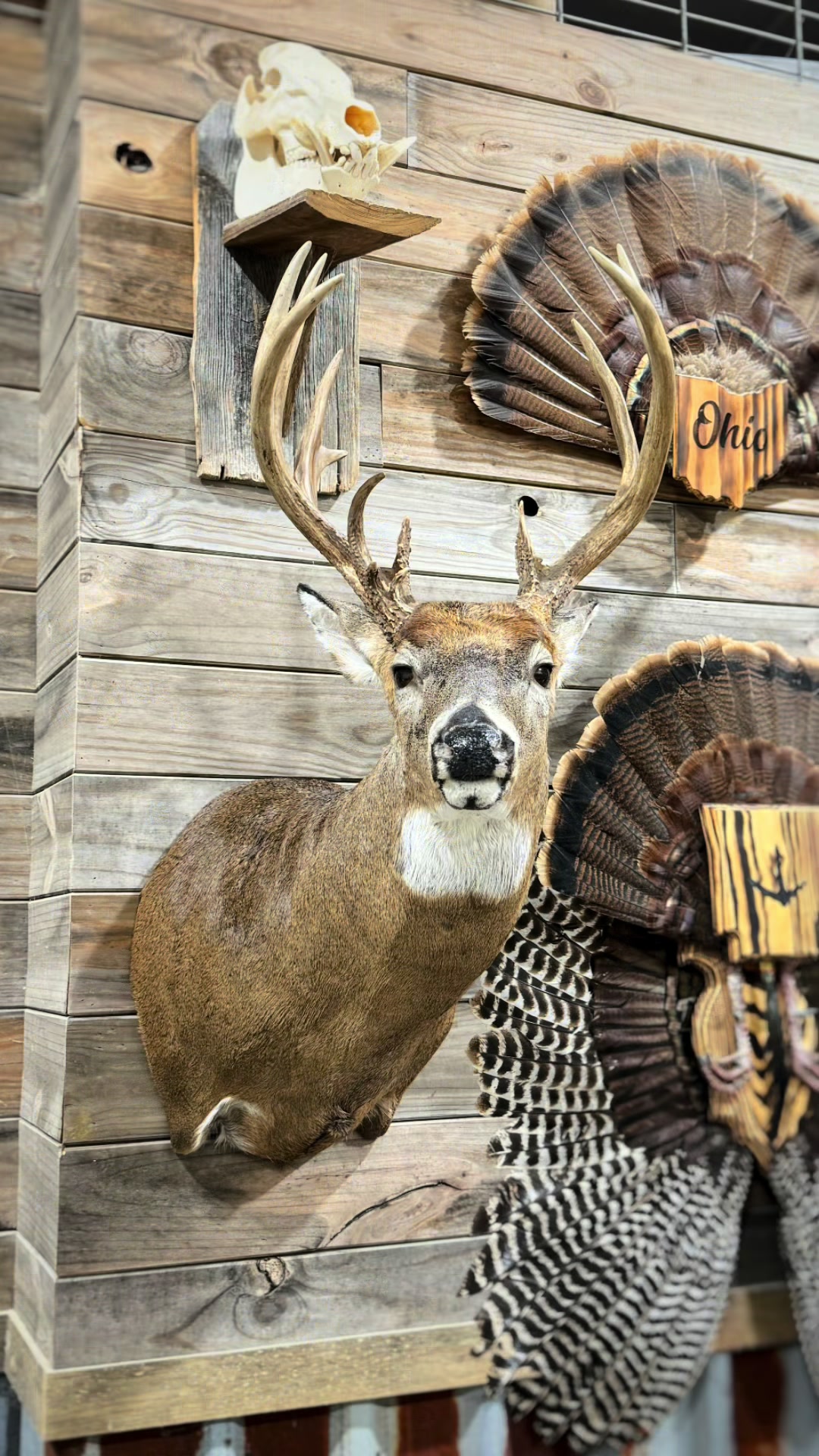 @TDTMounts