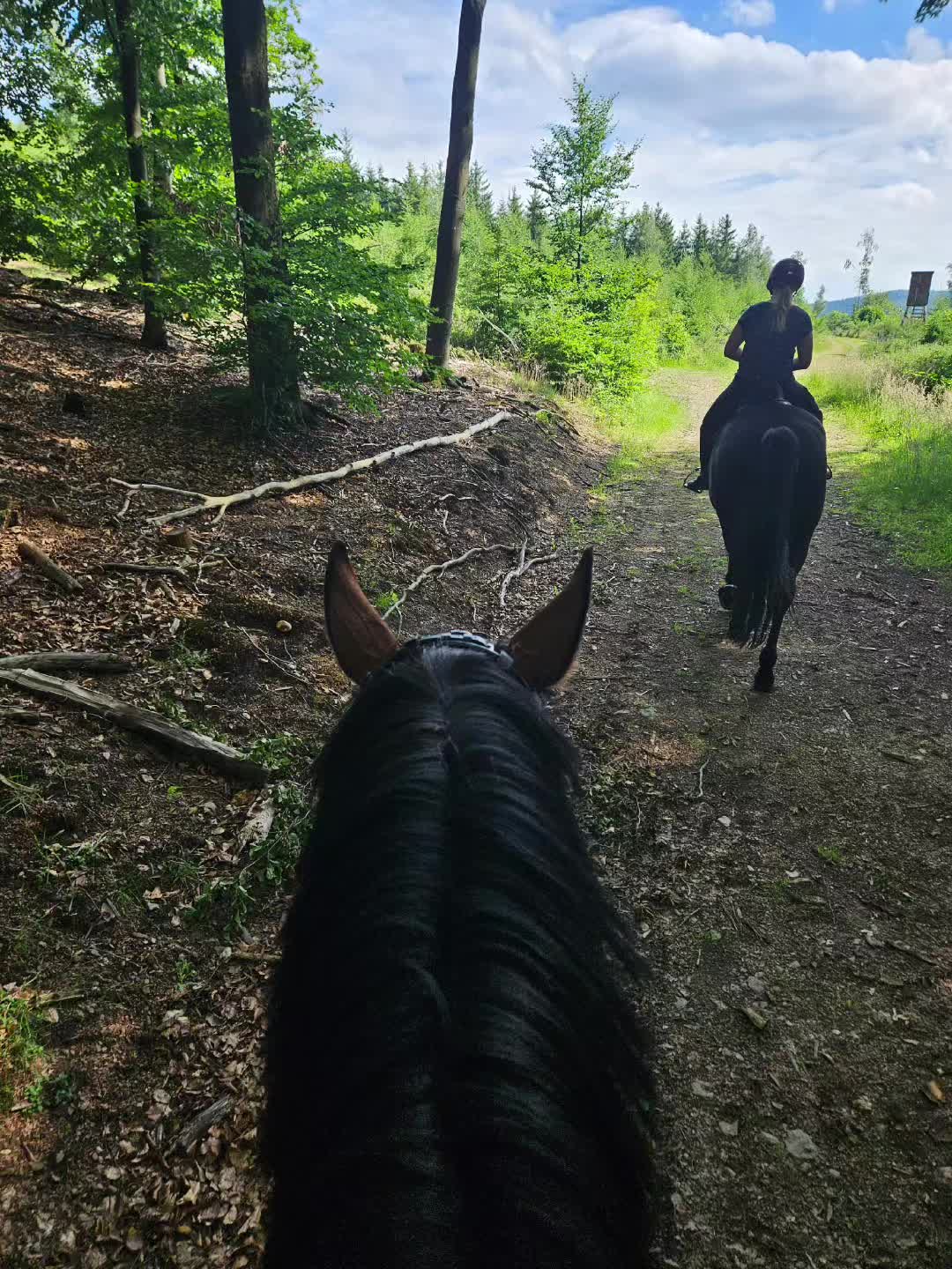@Ellektra&De'Nero❤️