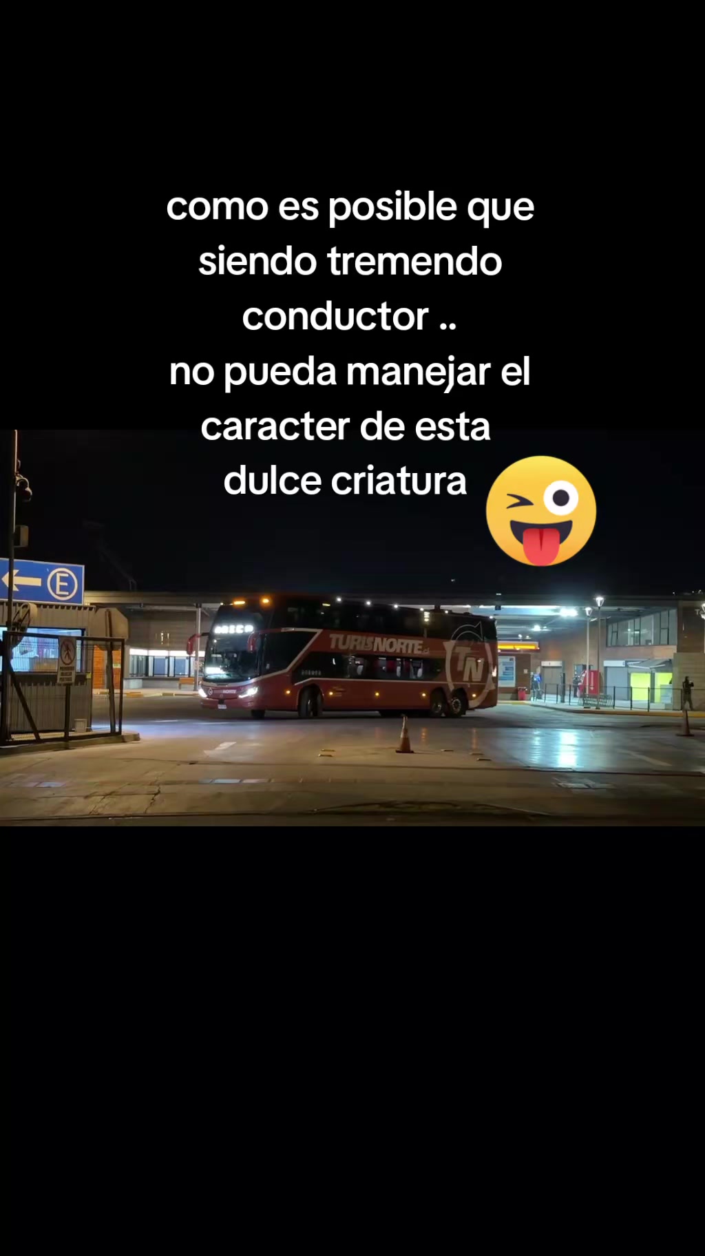 @carolinarojasdvaldes