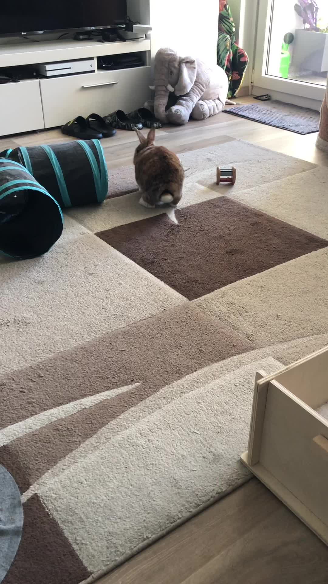 @Bibi
