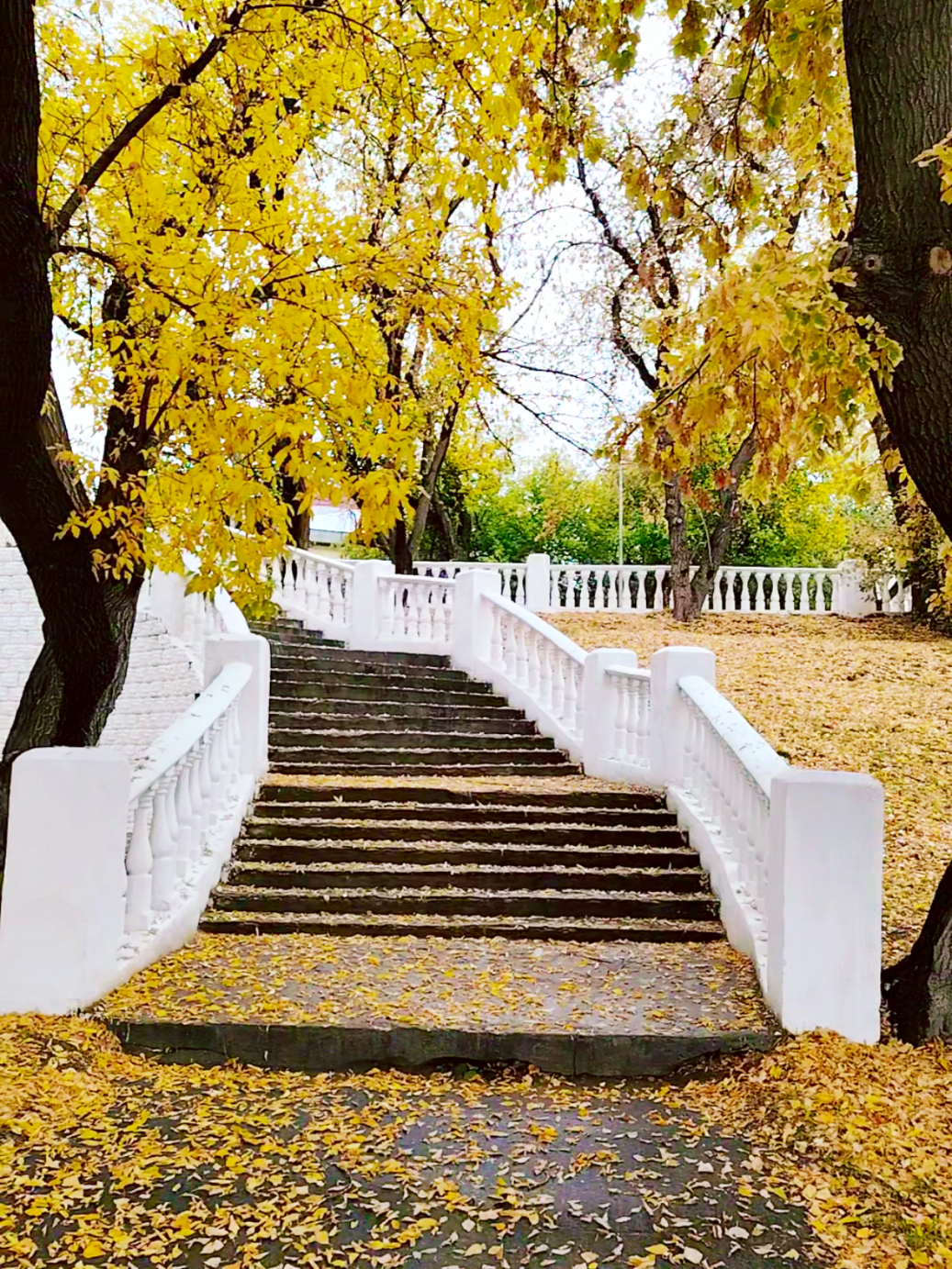 @pavlodar_yura