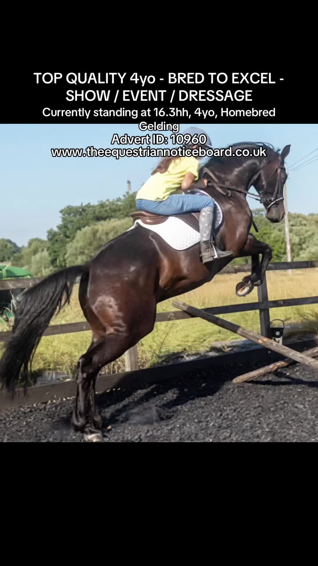 @theequestriannoticeboard