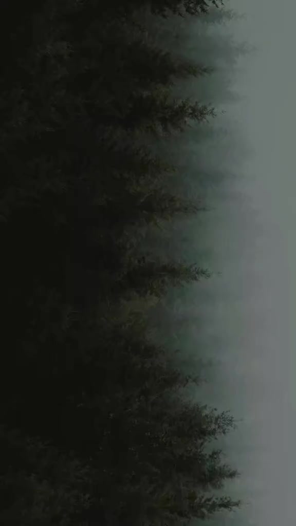 @காயத்திாி ராமன்