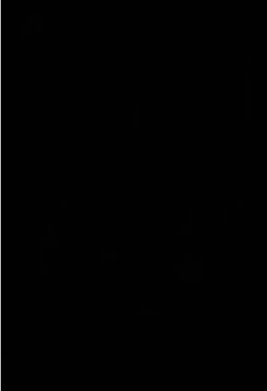 @ж—𝐒𝐀𝐋𝐌—ж