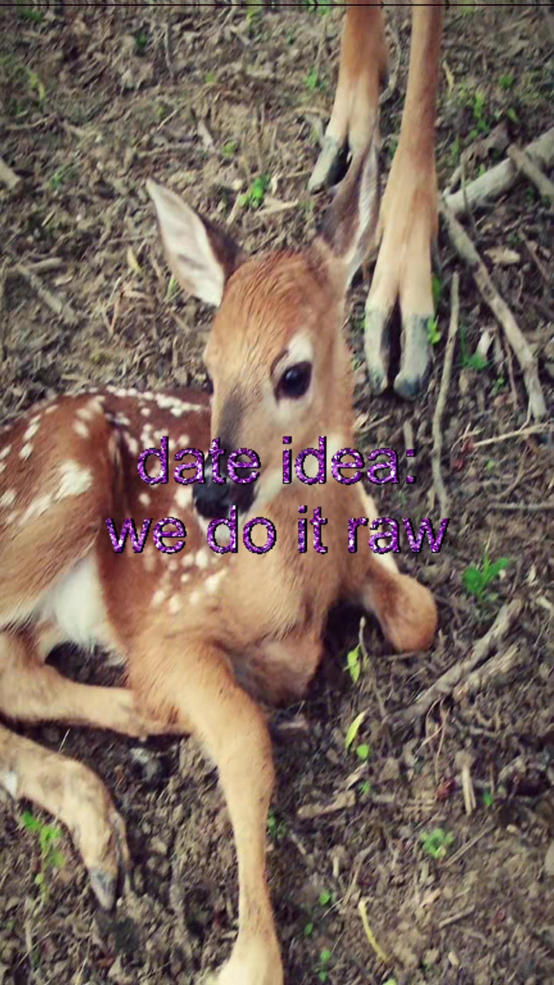 @livinlikedis