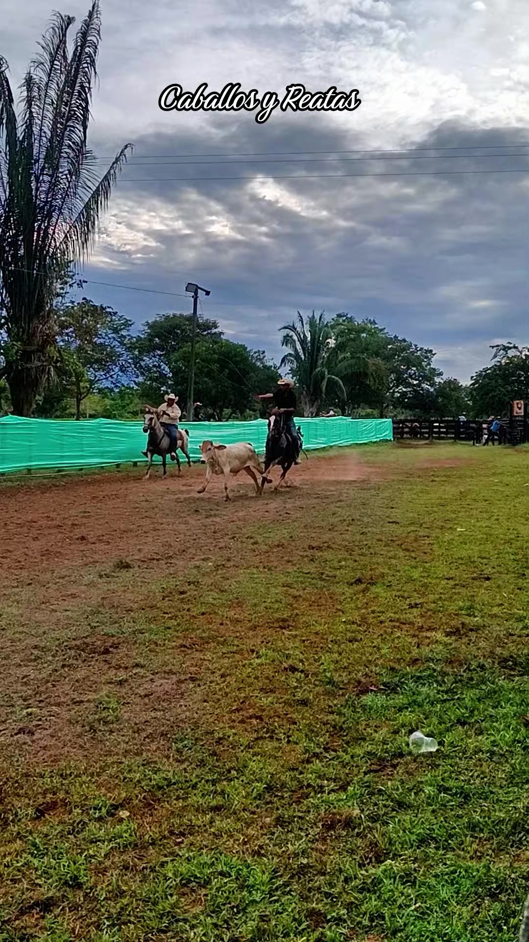 @Caballos y Reatas