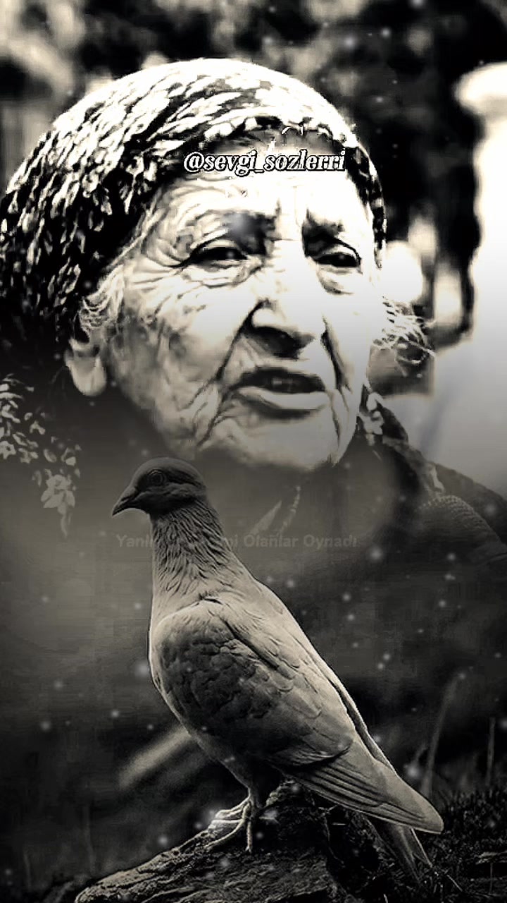 @🇹🇷𝕂ℝ𝔸𝕃_𝔹𝔸𝔹𝔸🇧🇪