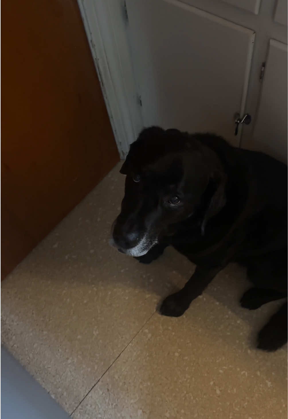 @rubenblacklab