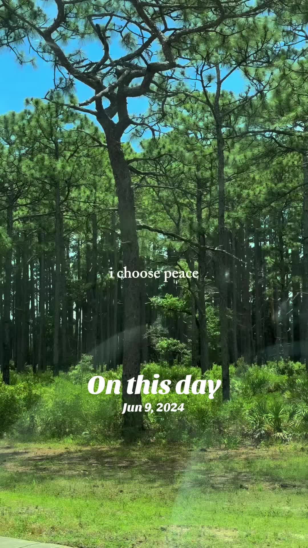 @🦋🦋 Omi 🦋🦋