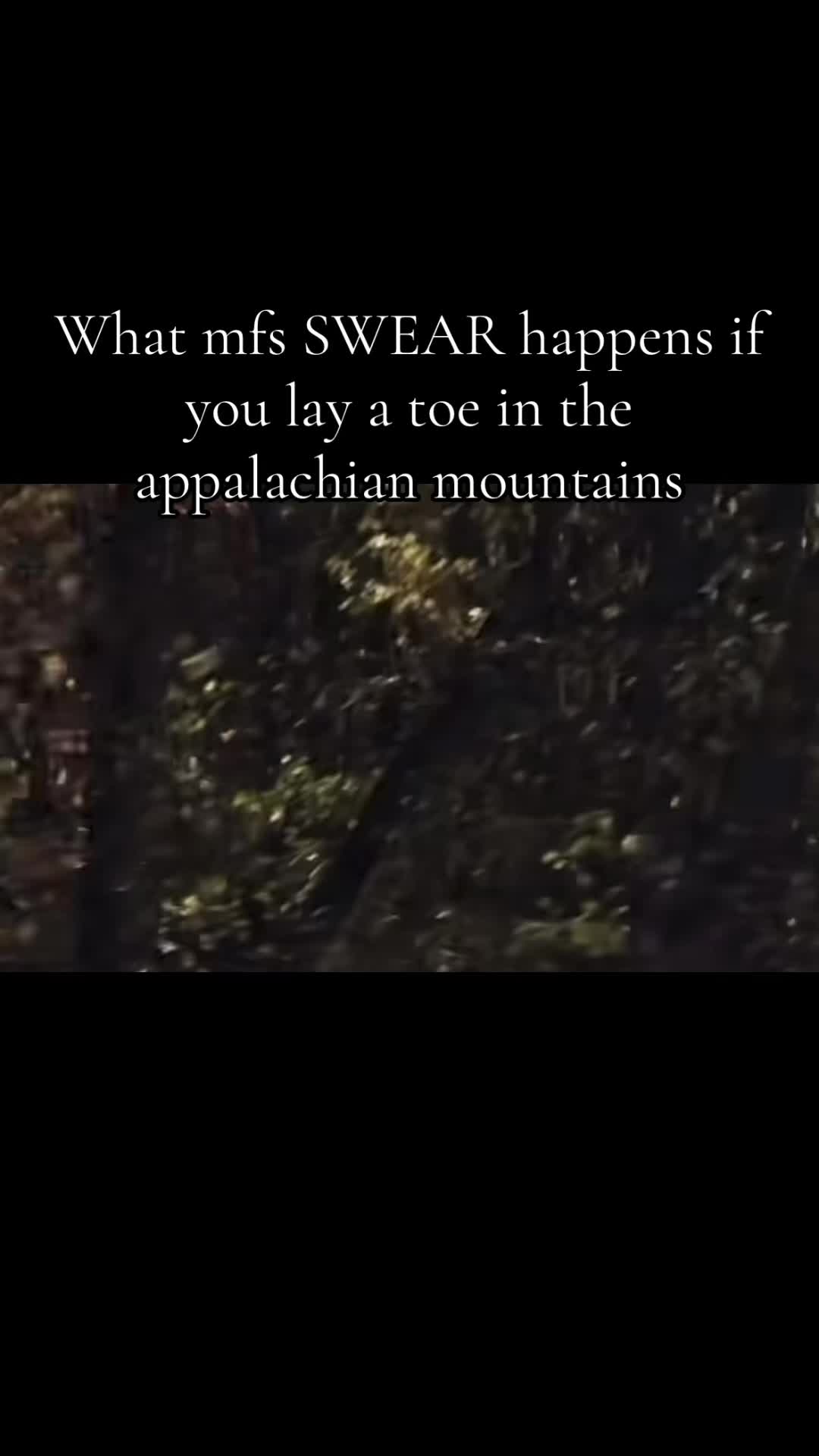 @SeemlyOwl