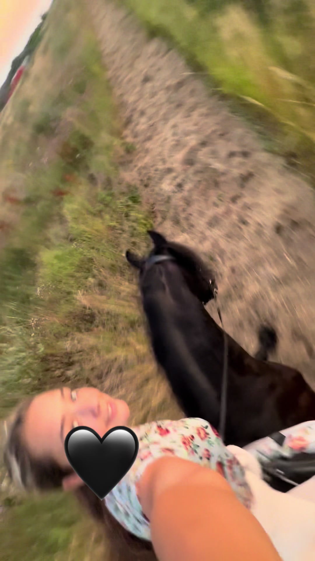 @Horses