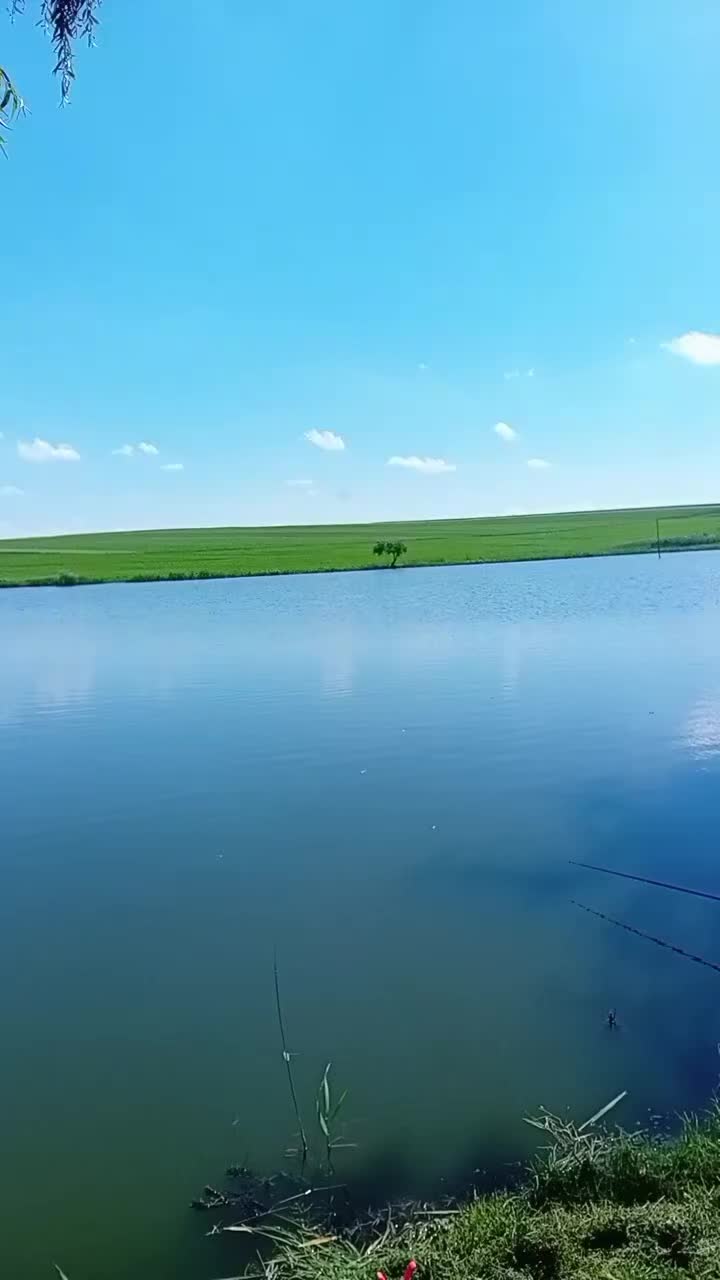 @Mona