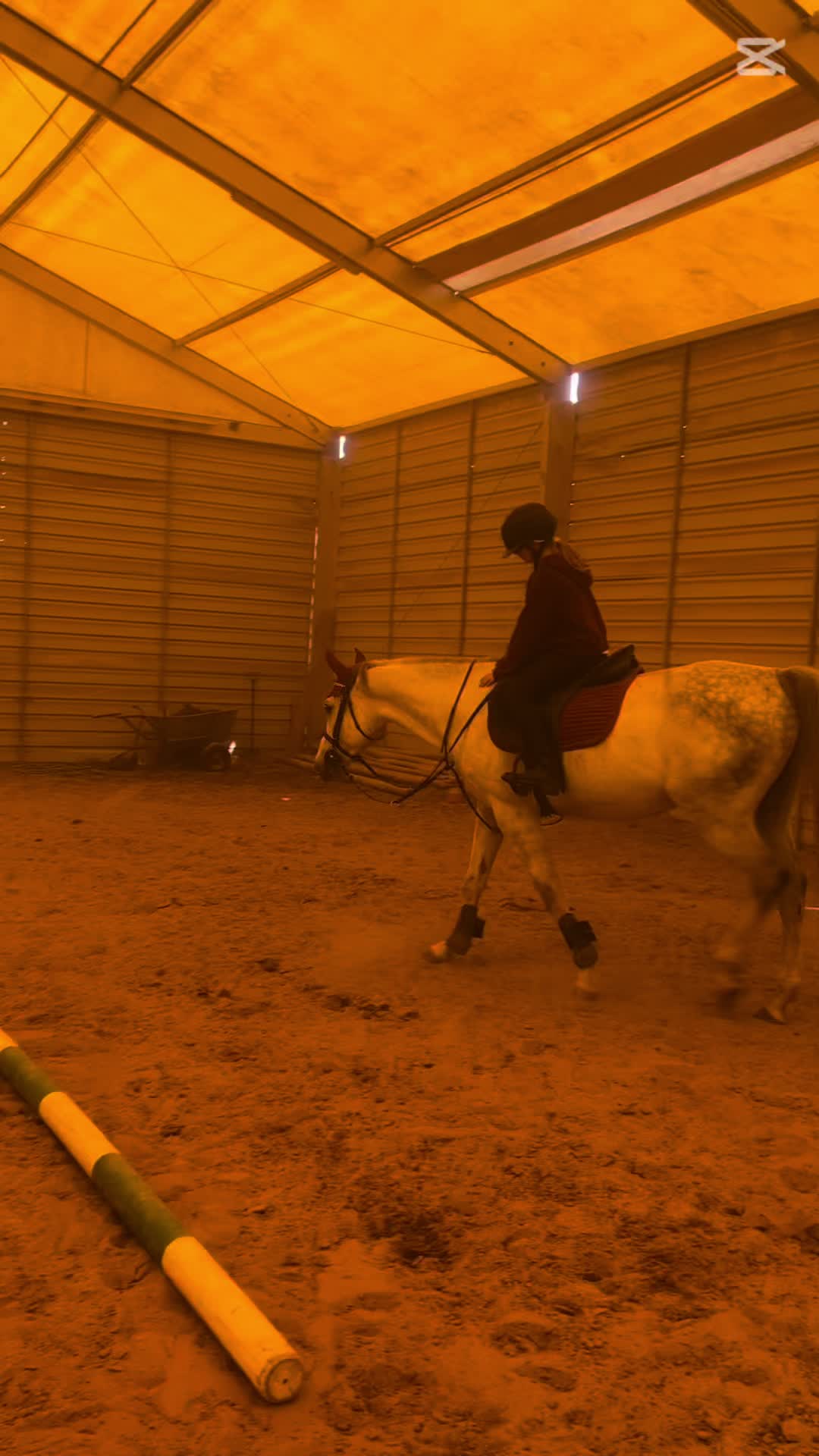 @😻🐴Eq._.N🐴😻