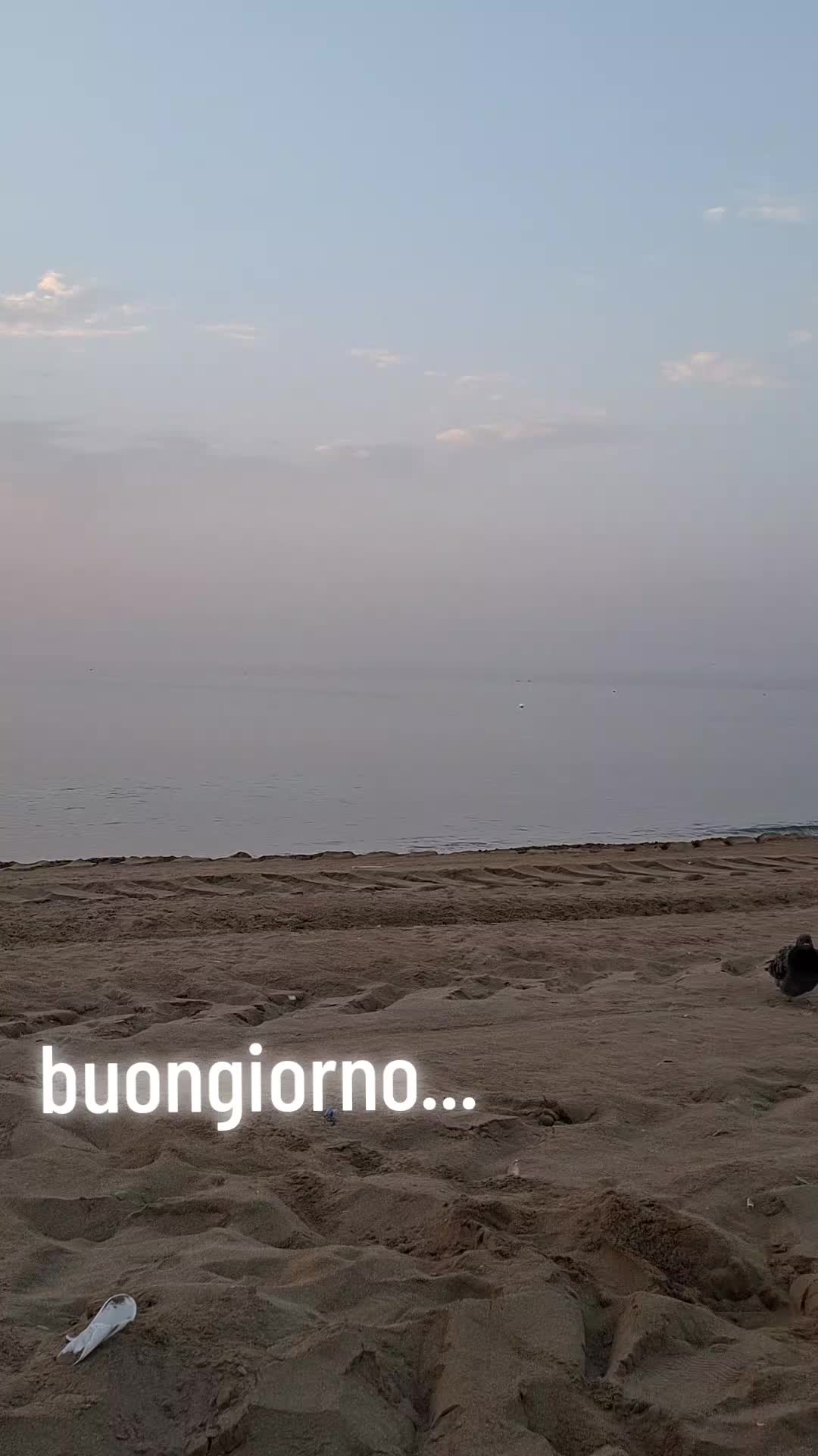 @Chiara Attardo82