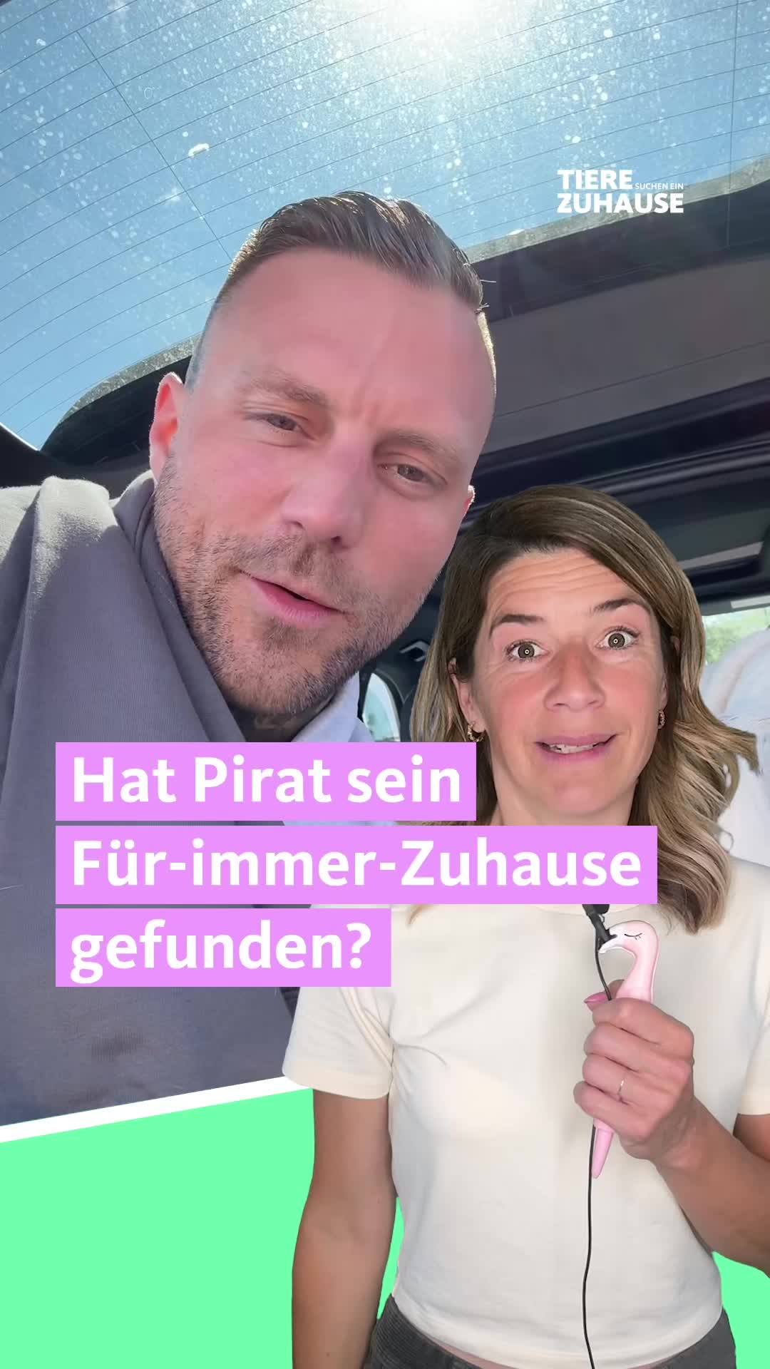 @Tiere suchen ein Zuhause