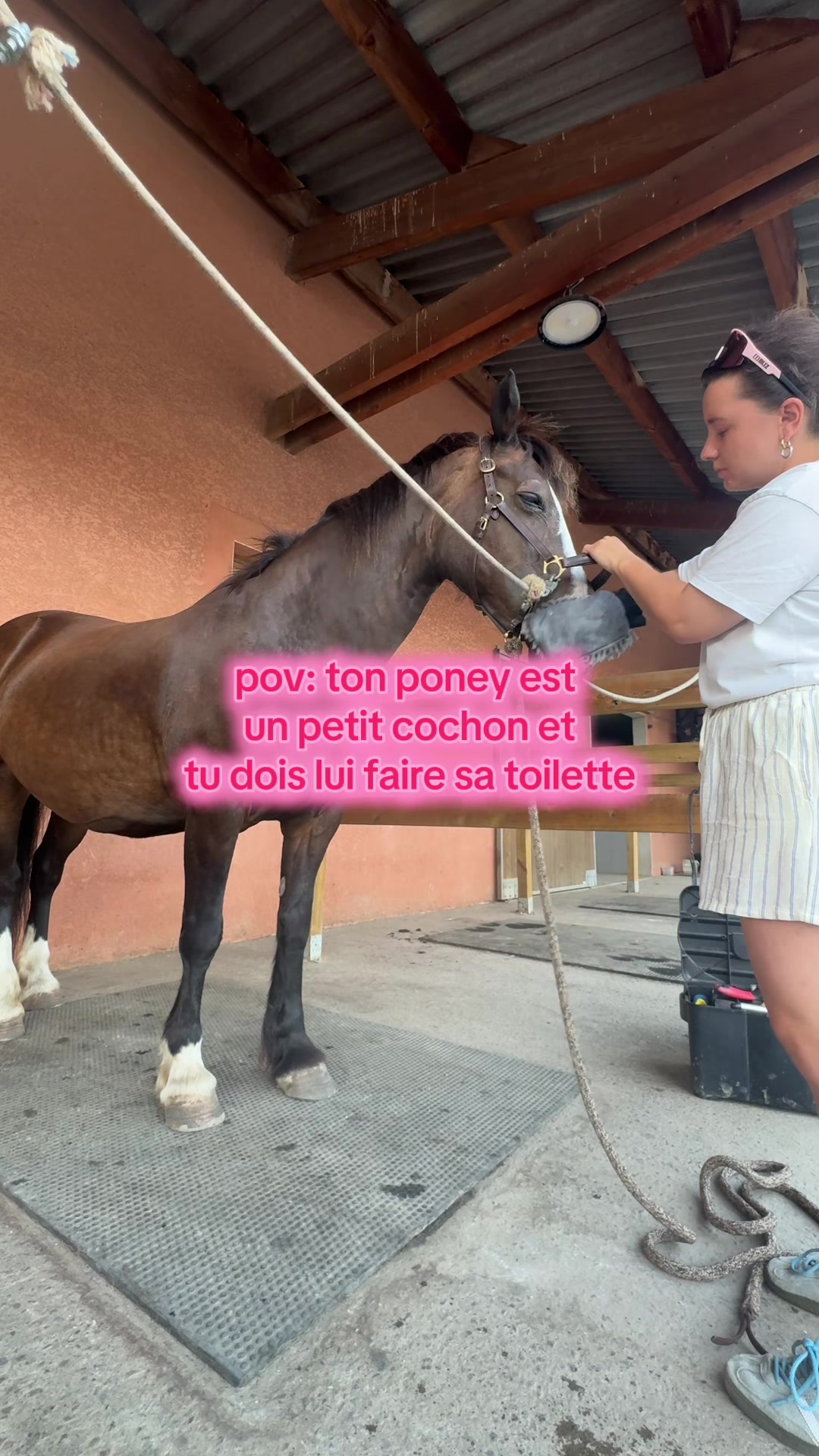 @Seren the pony ๐ด