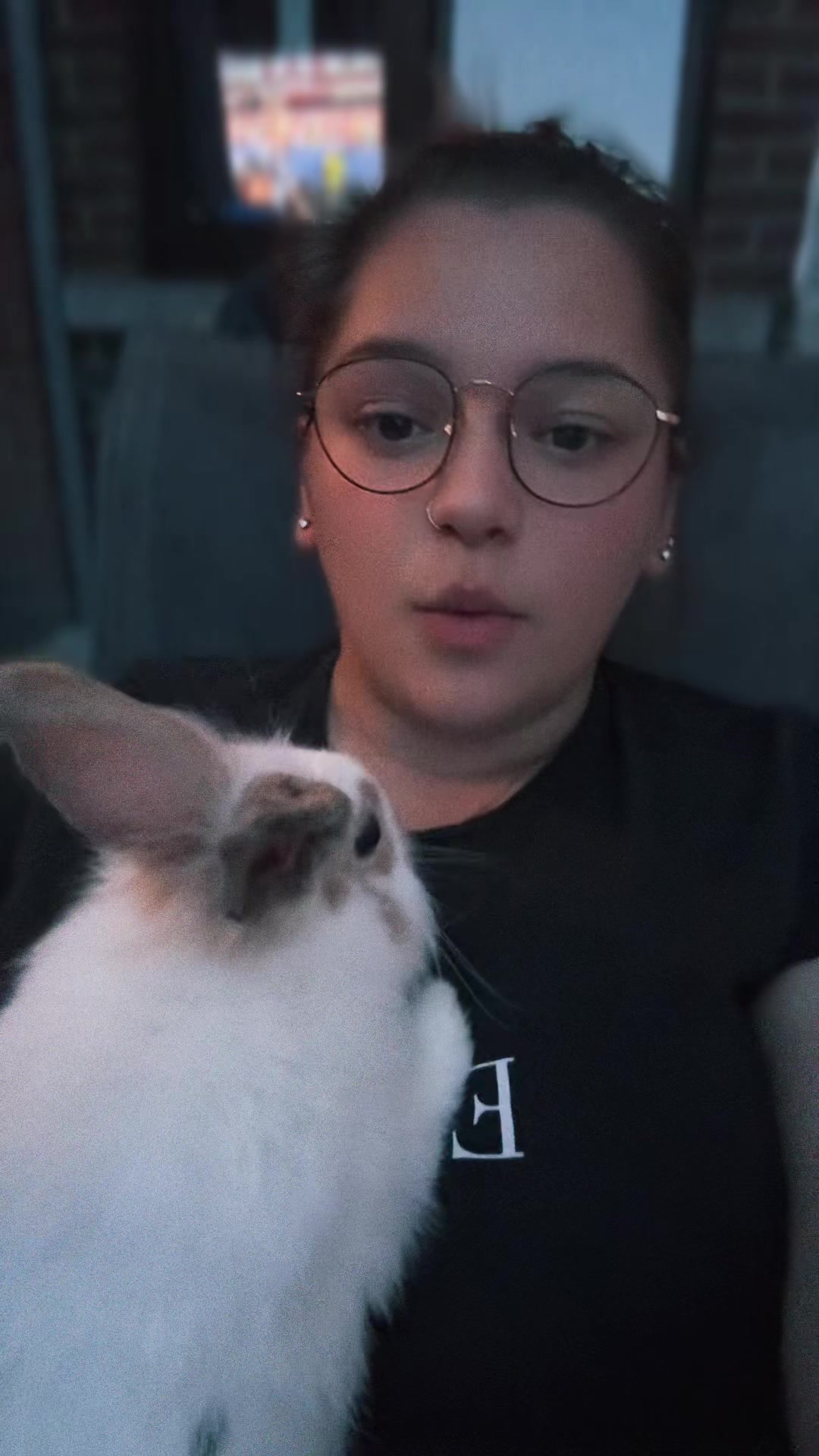@Kimipcrd