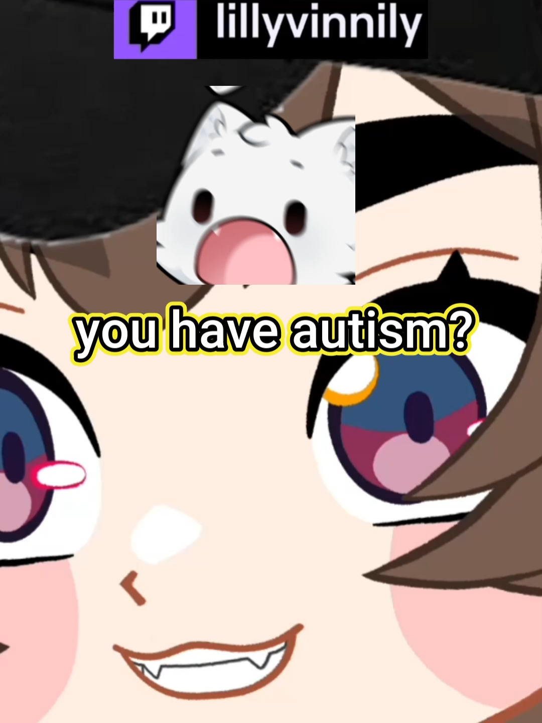 @Lilly Vinnily