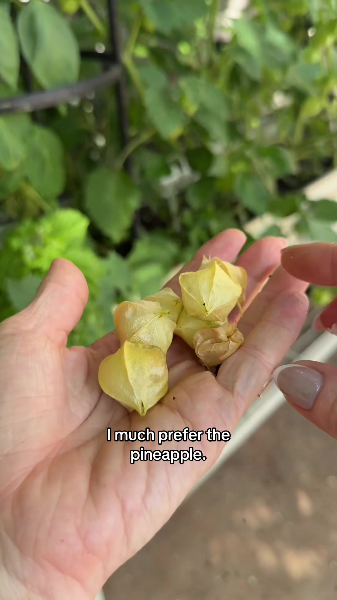 @The Ever Hopeful Gardener