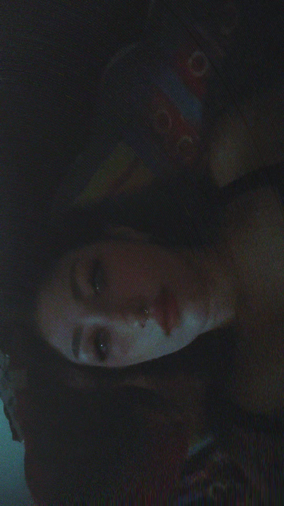 @vergeben an 18.12.2025❤️17.7