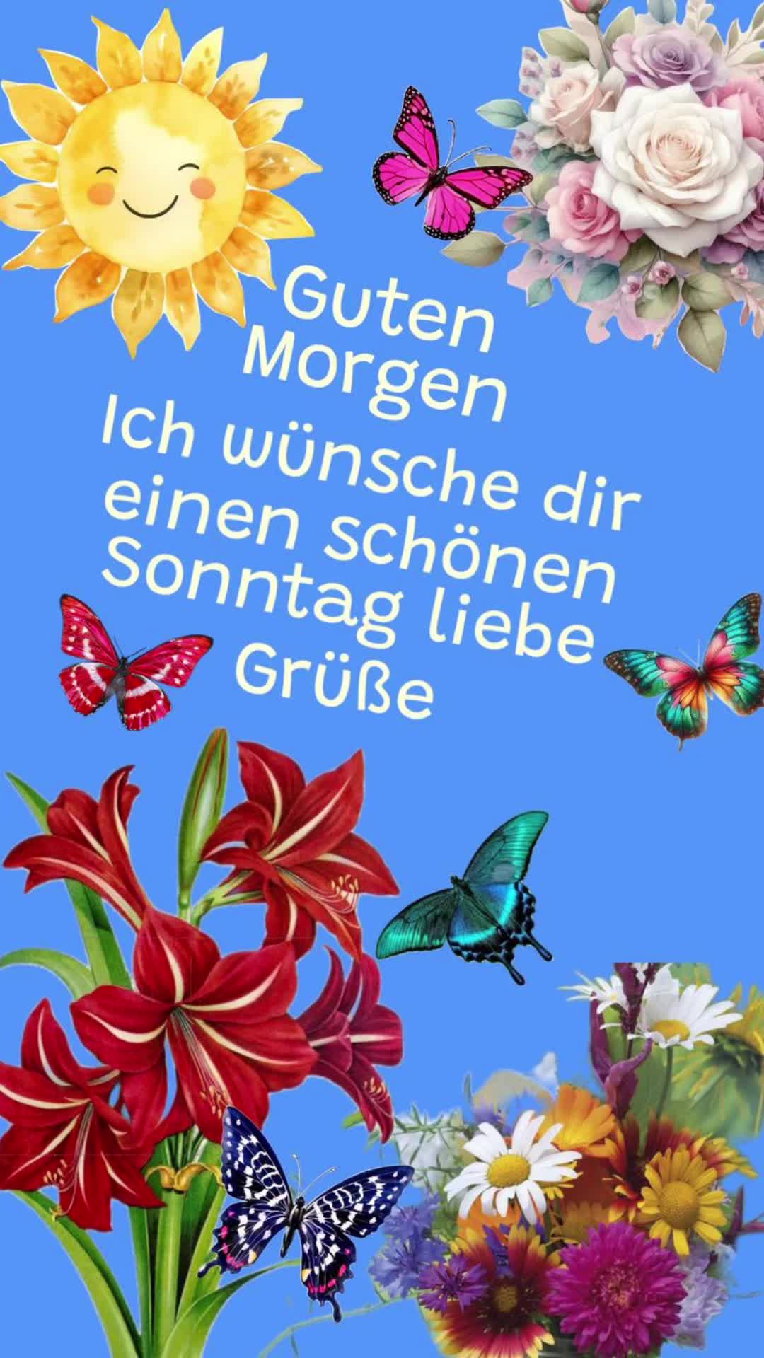 @dagmarschoondy