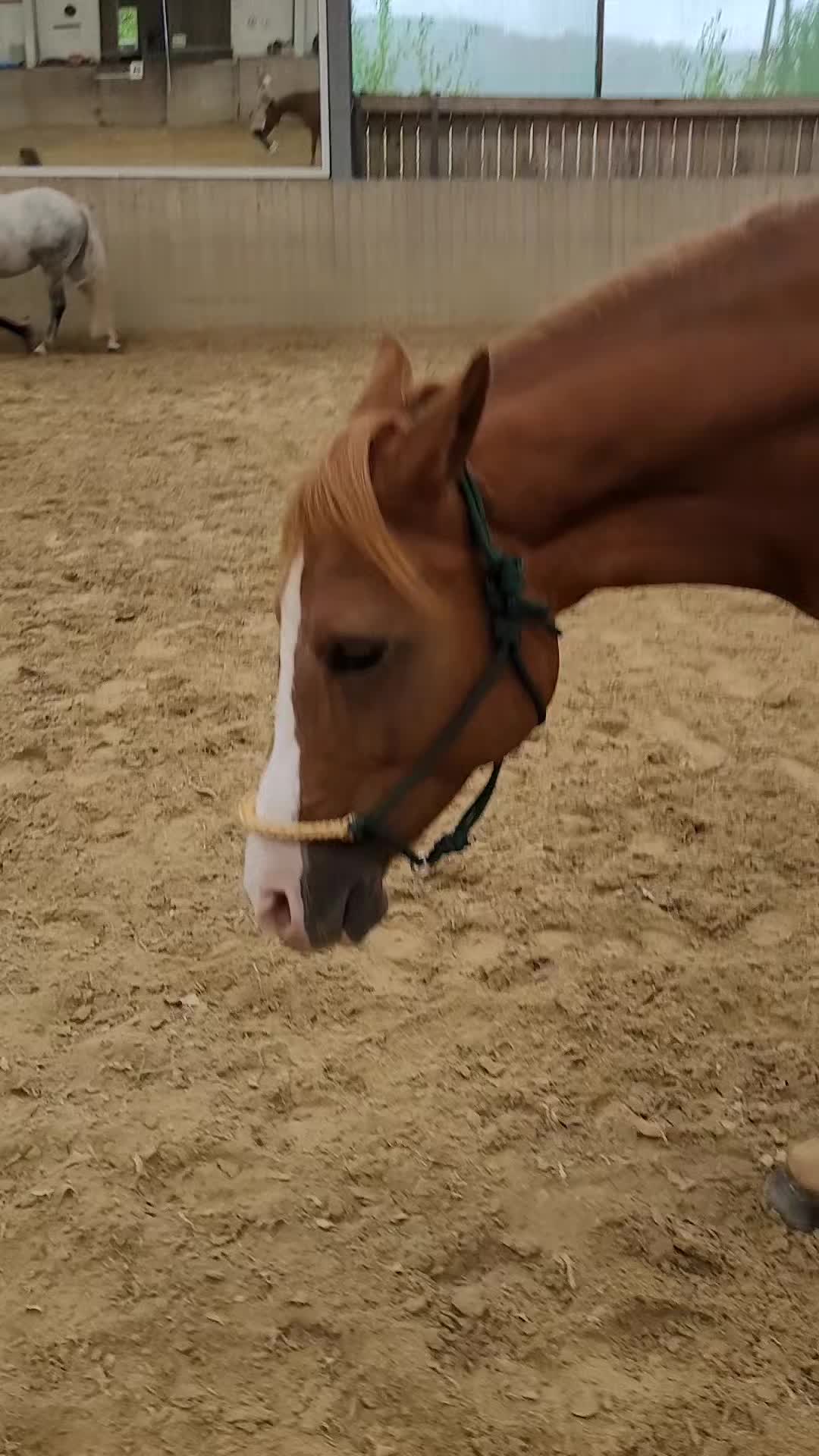 @Cookie