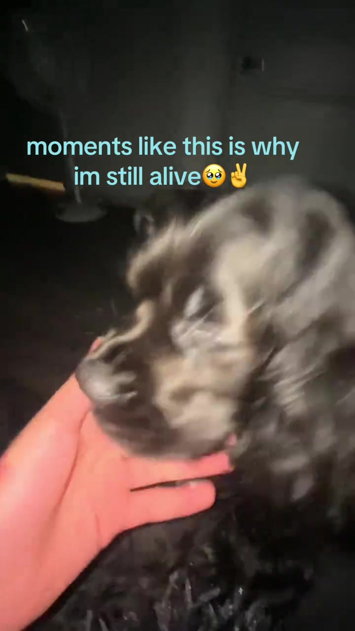 @ellie_bbyboo