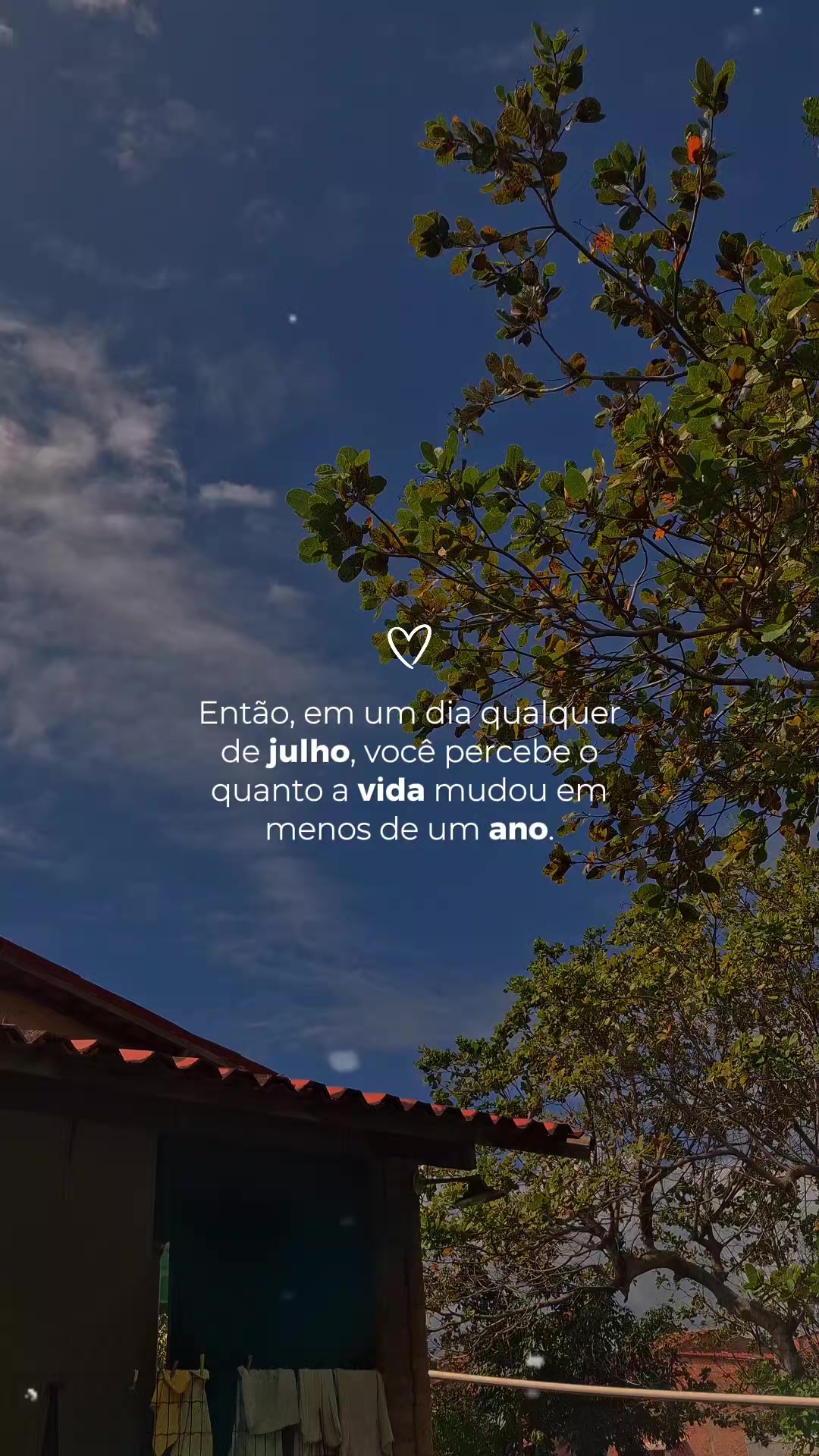 @Marta Oliveira