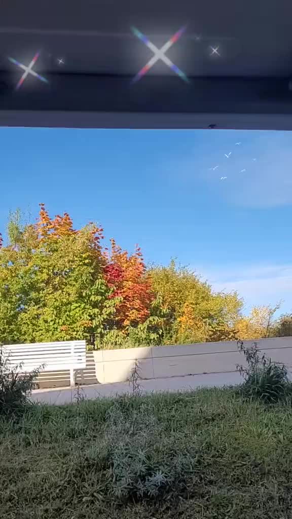 @Bea ☀️