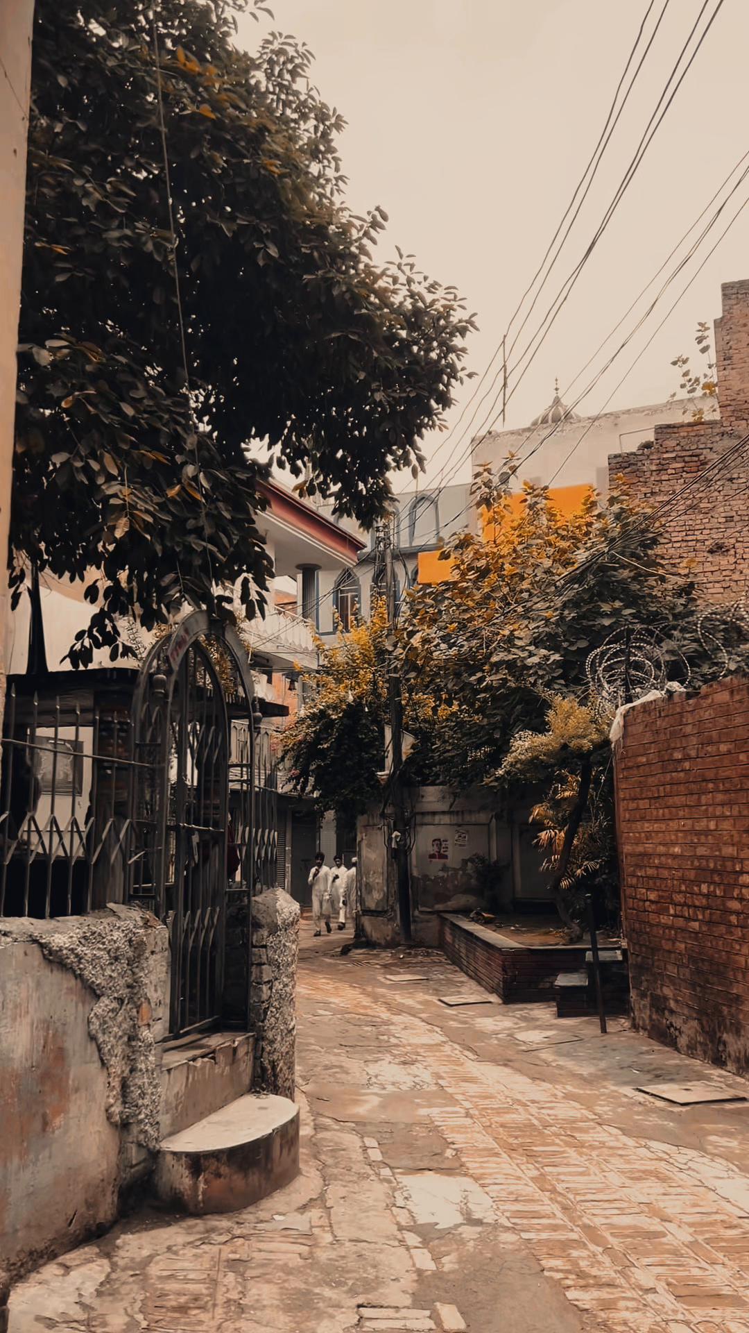 @عزیز الرحمان🌸