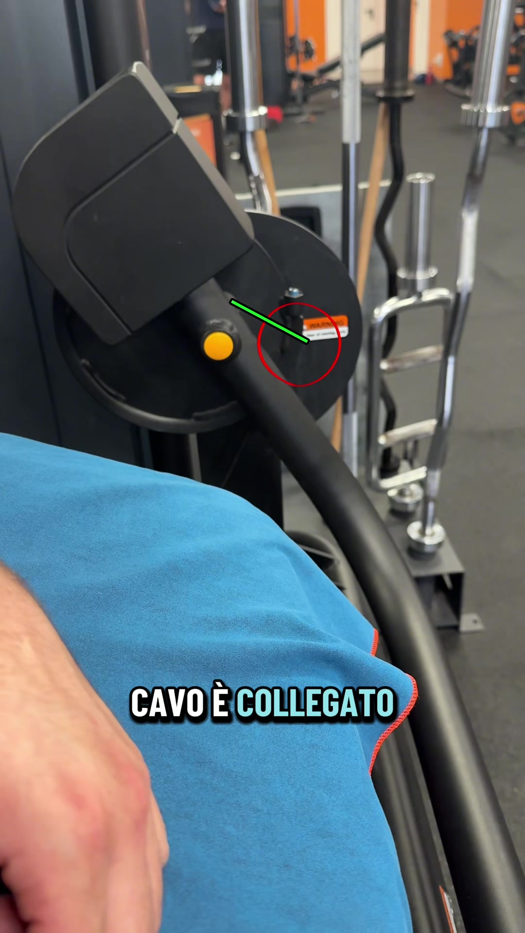 @Ale Vespucci