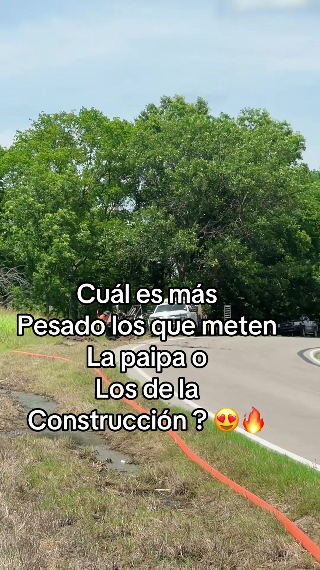 @🌹🖤JELEN-CETO🌹🖤
