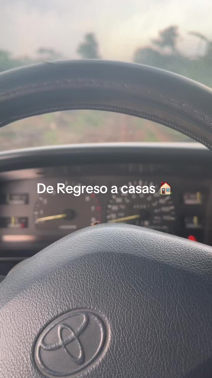 @Omar Perez GT