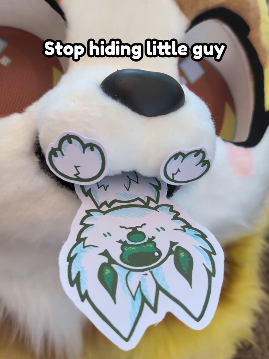 @Psychedelipup