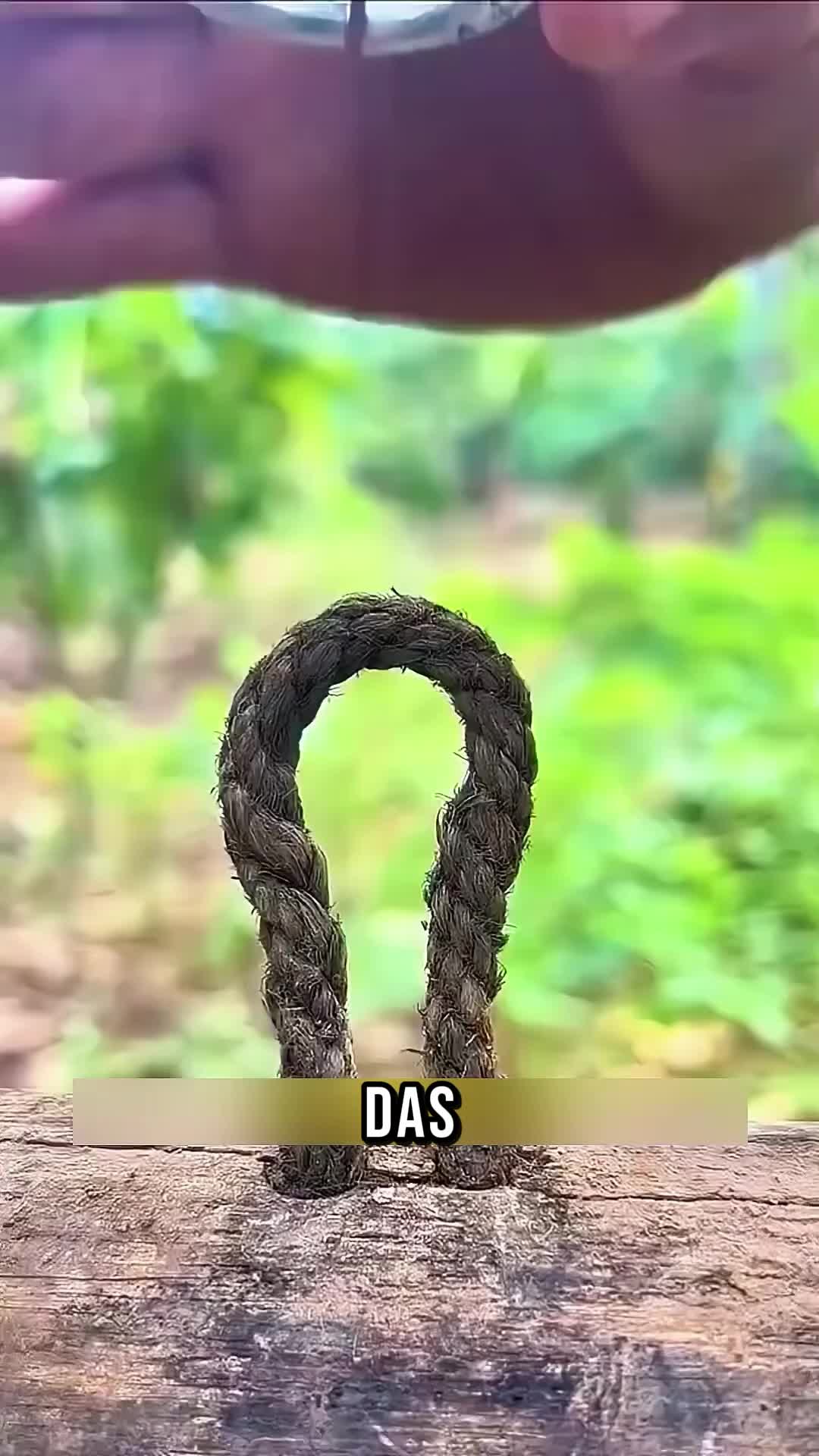 @Natürliche Rezepte