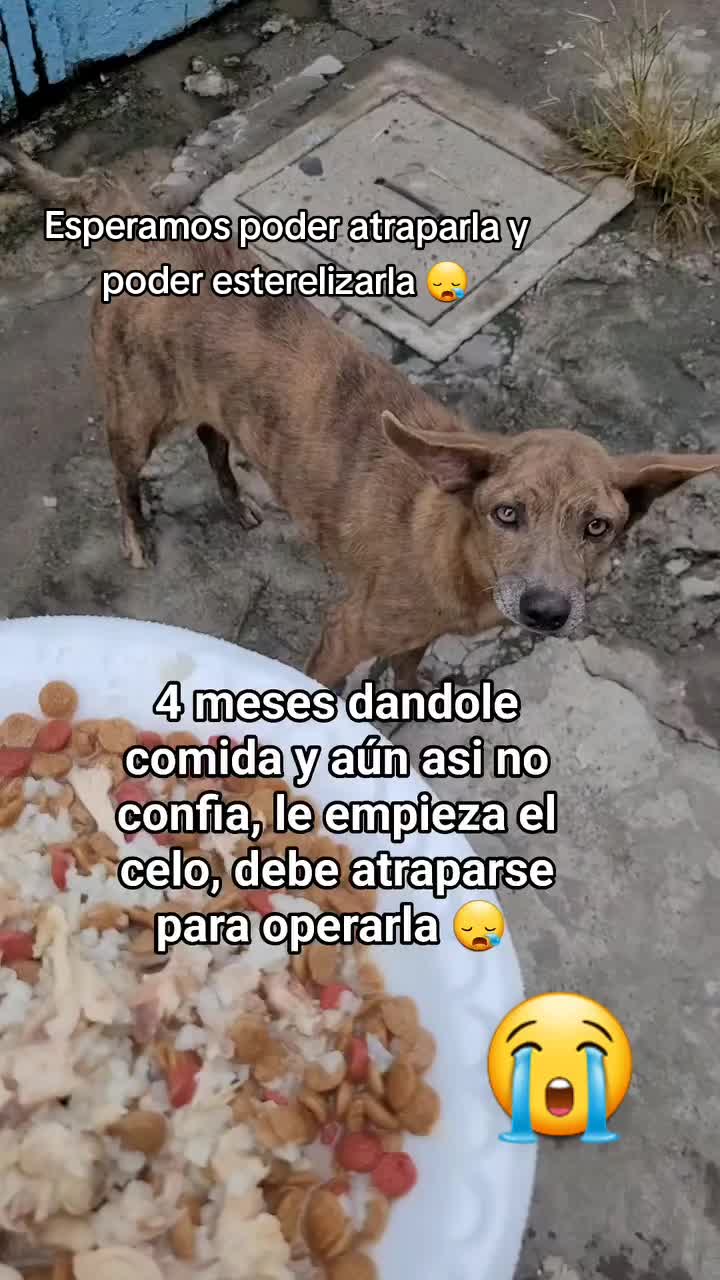 @𝕃𝕚𝕤𝕤 ℝ𝕖yes🇸🇻