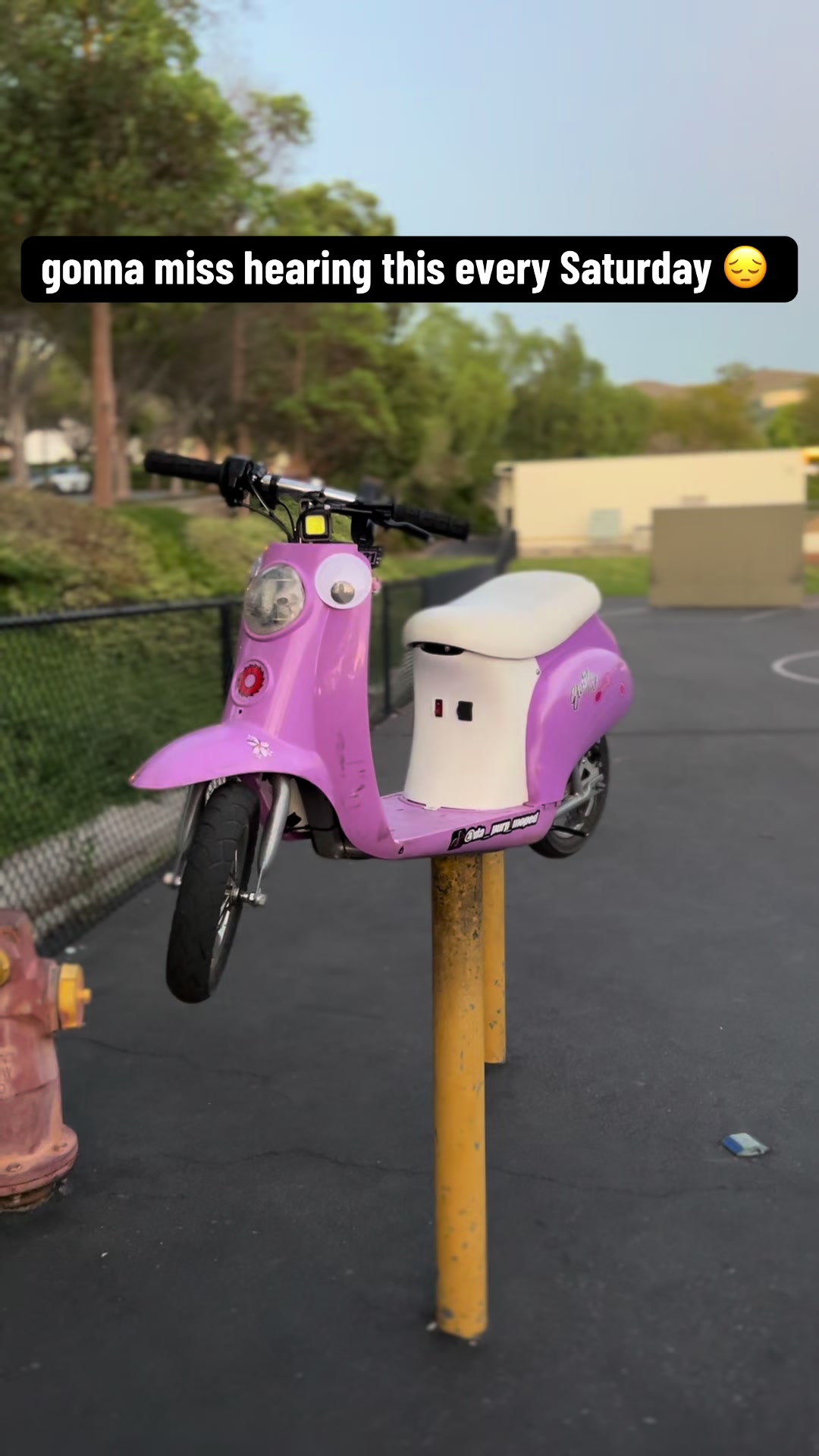 @da_purp_moped