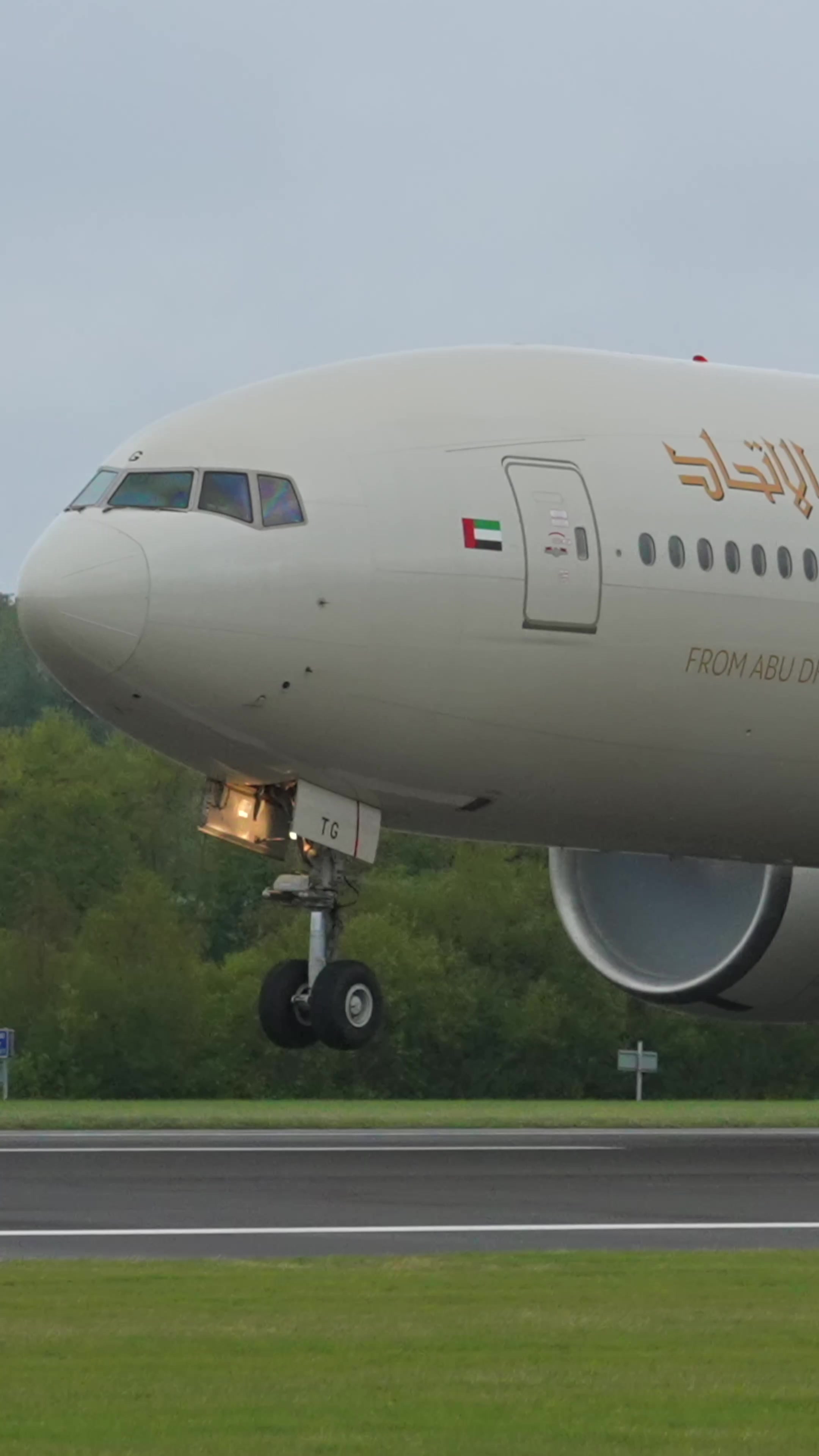 @Think Planes