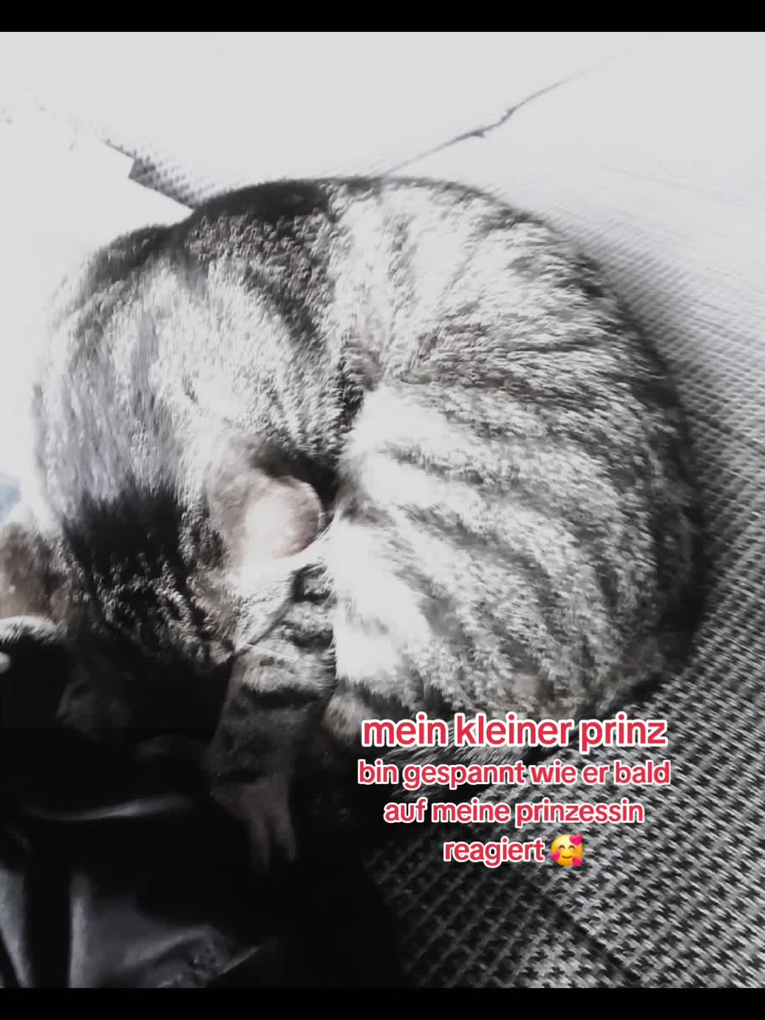 @(L+M)🥀❤️