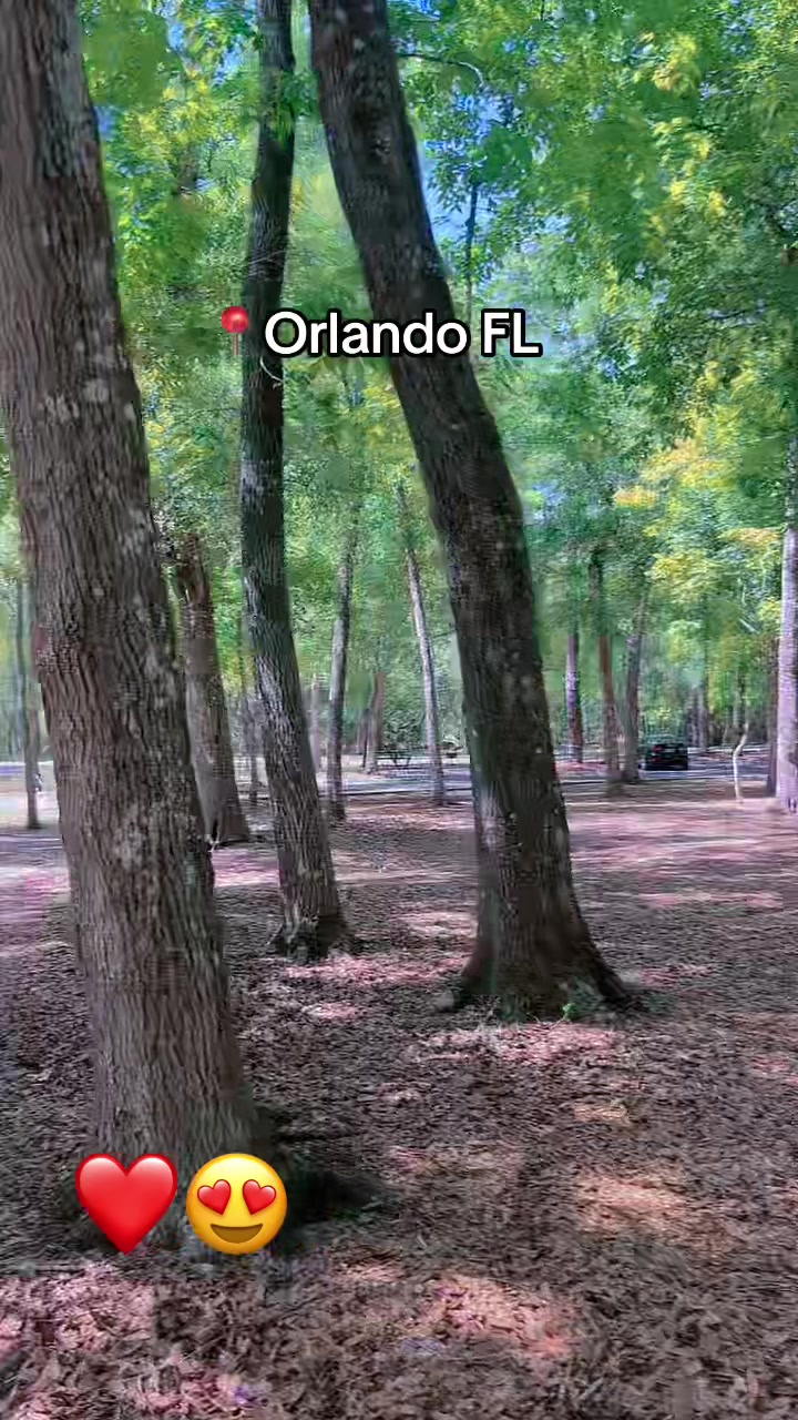 @jcbjr2