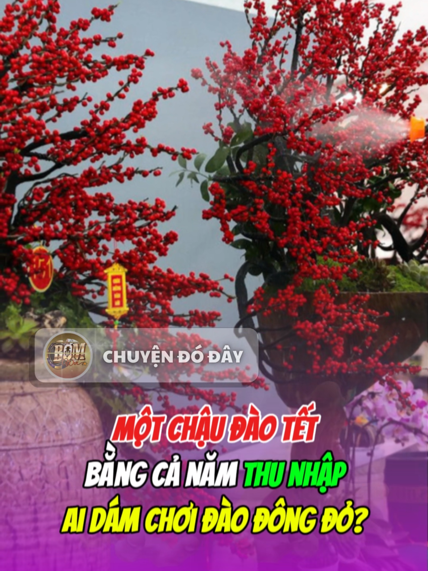 @Chuyện đ&oacute; đ&acirc;y