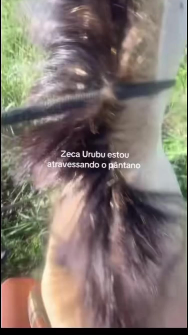 @Pᥱ́r᥆ᥣᥲ ᥱ ᥴᥲριtᥲ̃᥆