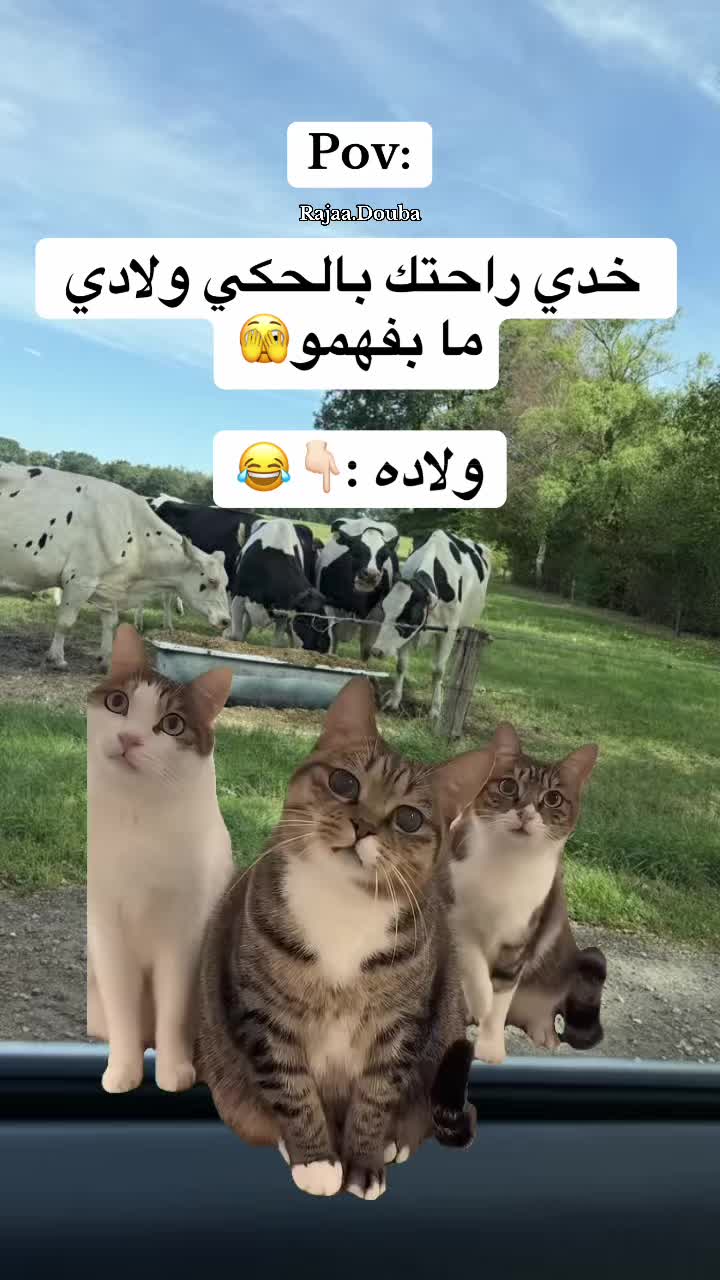 @🇸🇾Rajaa Douba🇩🇪