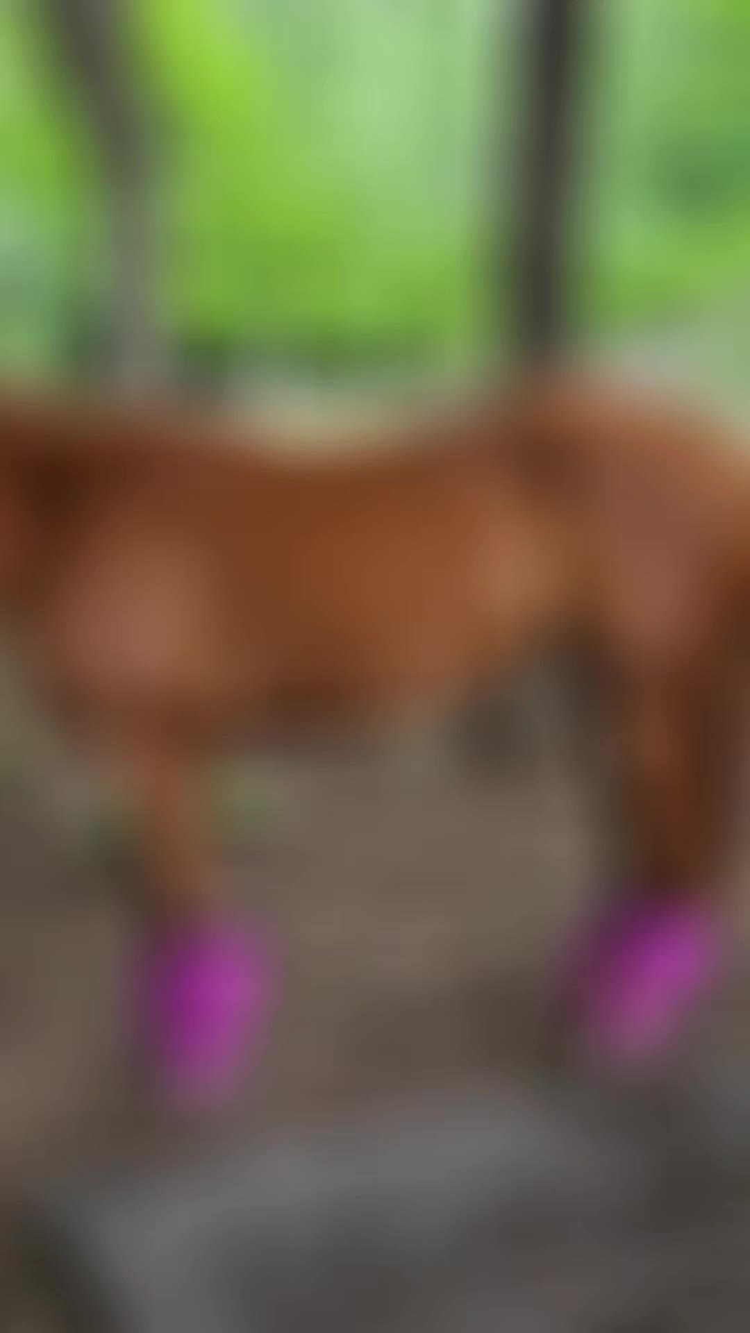 @southerncowgirl