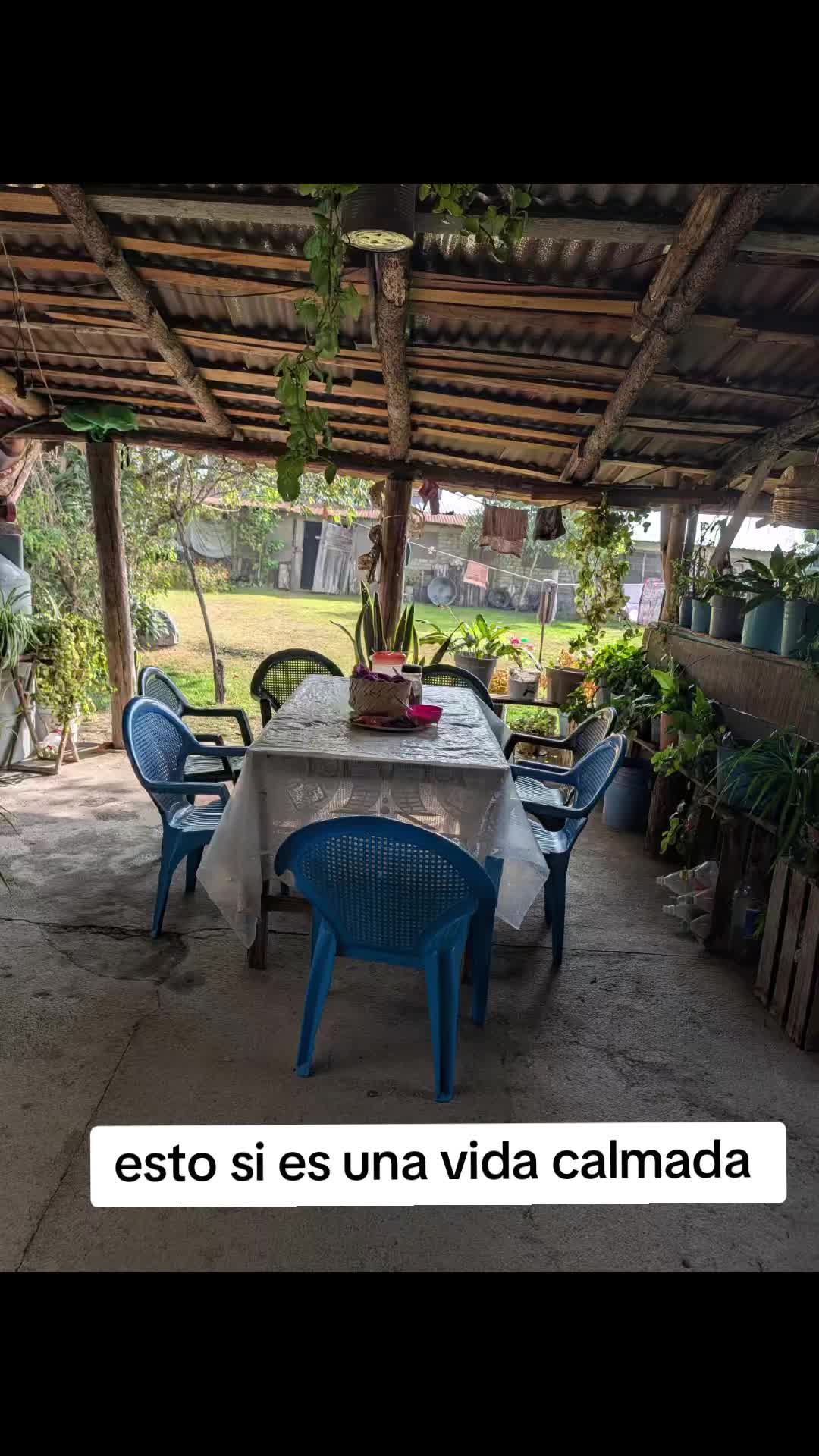 @Rosmery