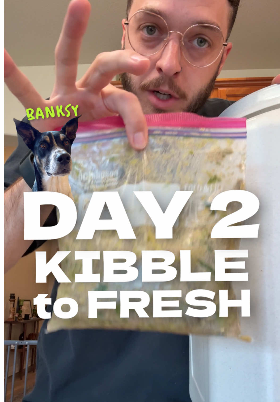 @The BK Pets - Dog Food Tips