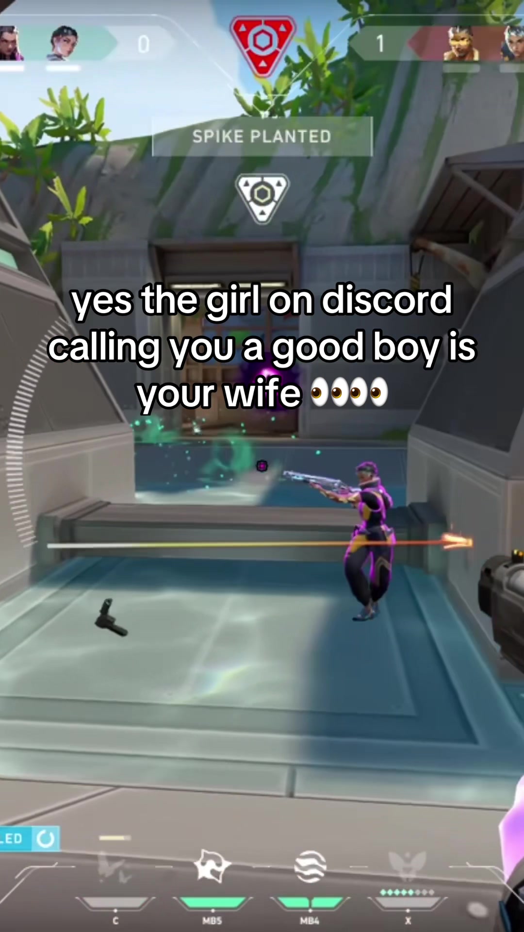 @sillycatt28