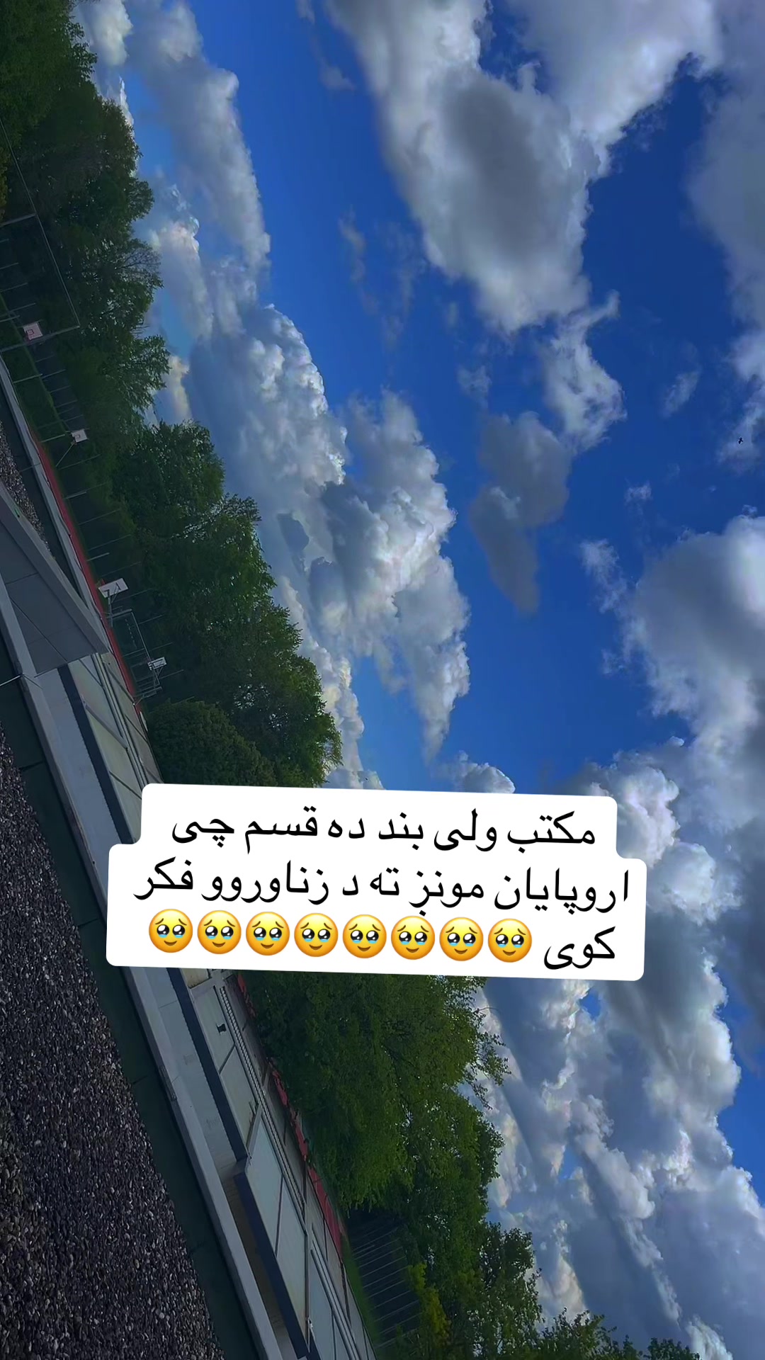 @Mustafa