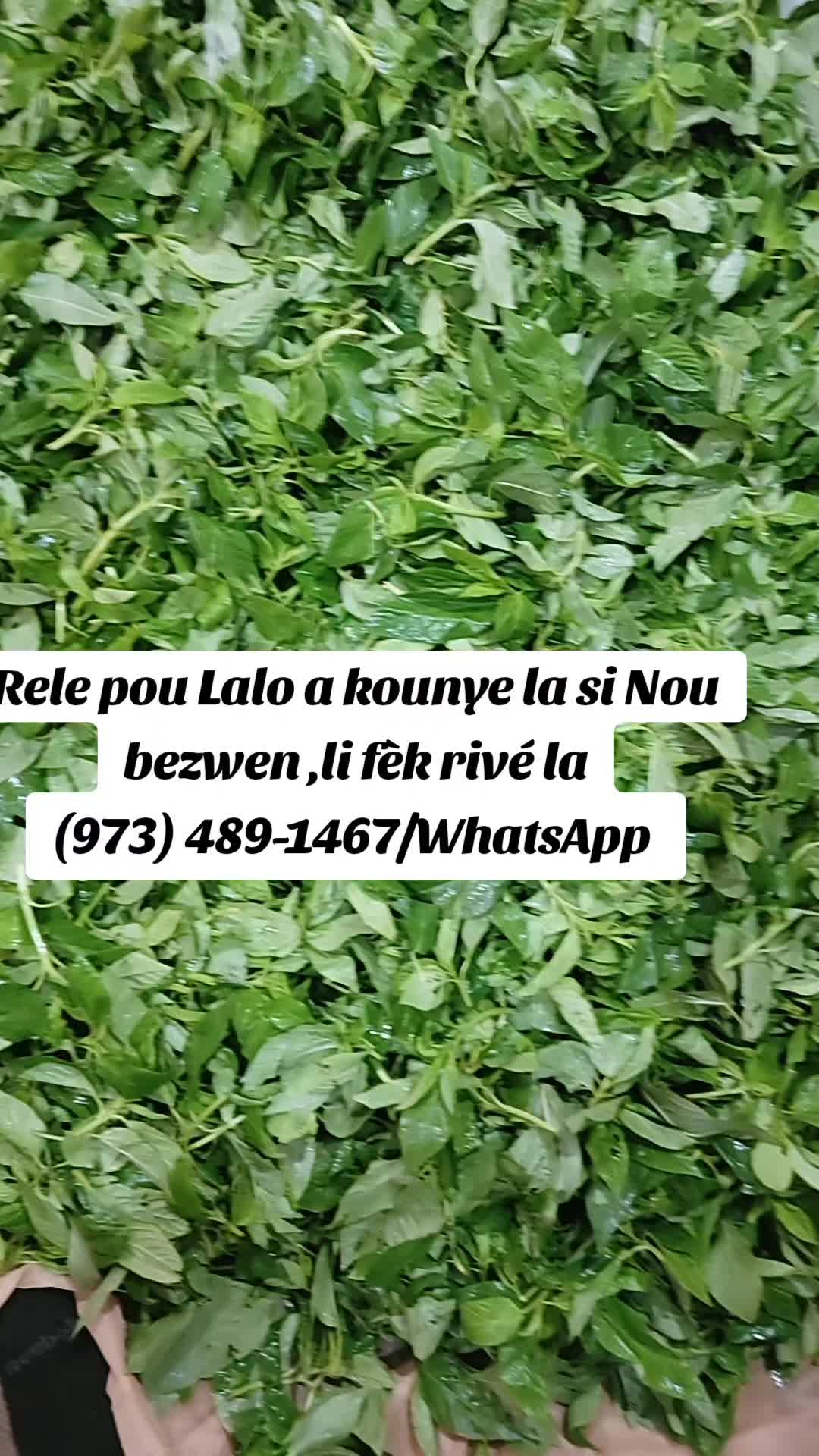 @Madame Rica